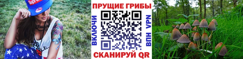 MEGA   дарнет шоп  Озёры  Псилоцибиновые грибы прущие грибы 